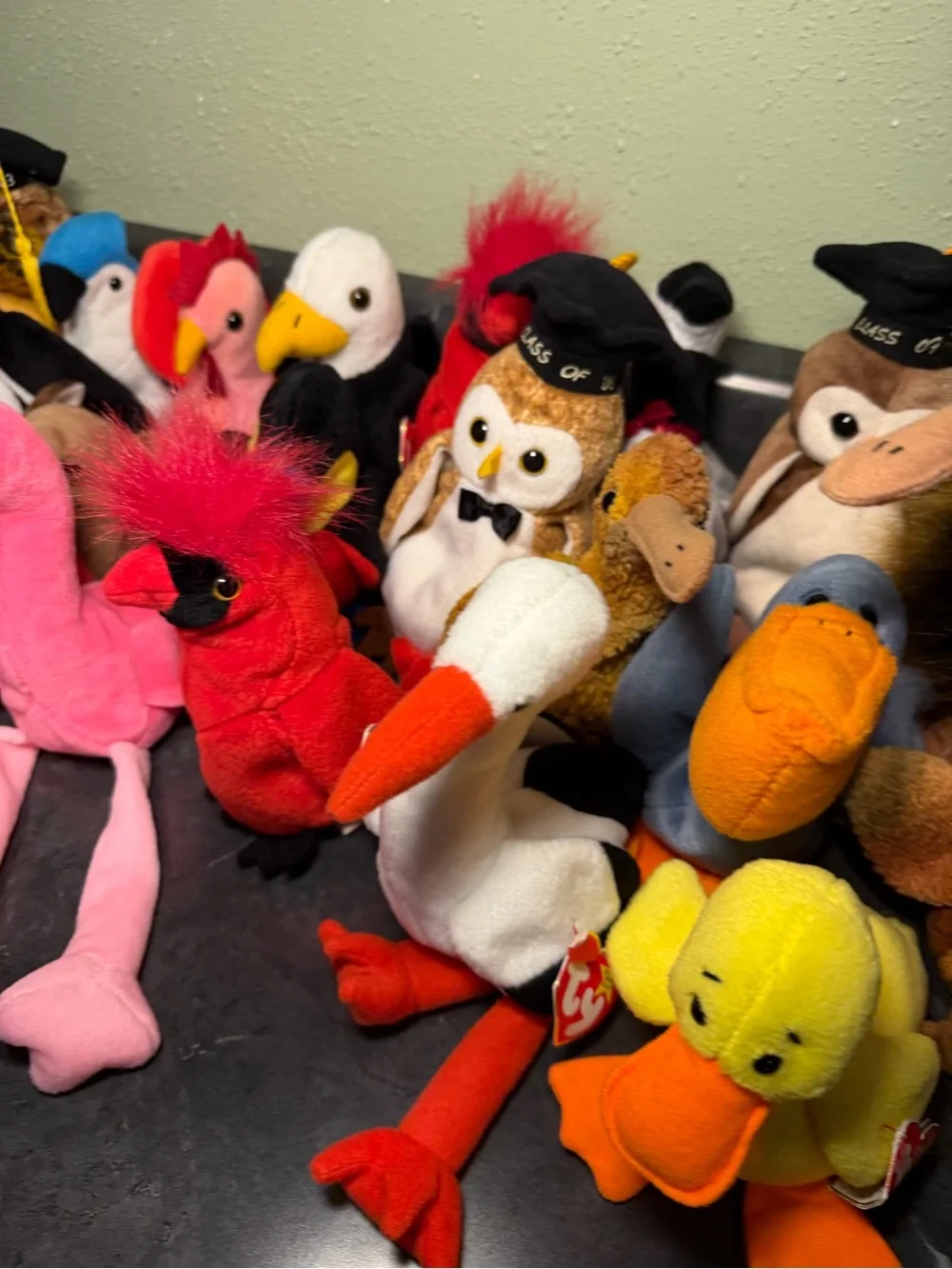Ty Beanie Babies Bird and Graduation Owl Collection